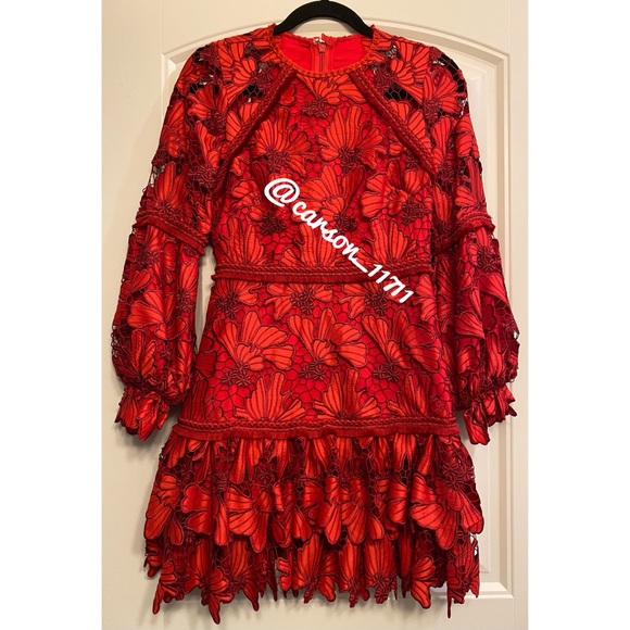 NEW Alexis Francisca Lace Mini Dress S - Picture 4 of 7